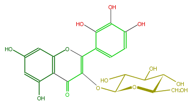 FL5FALGL0001.png
