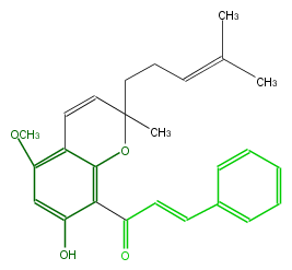 FL1CA9NP0007.png