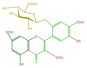 FL5FALGS0002.png