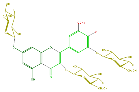 FL5FAHGL0005.png
