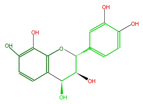 FL6D3CNS0001.png