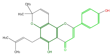 FL3FAANP0004.png