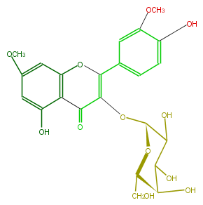 FL5FCDGA0001.png