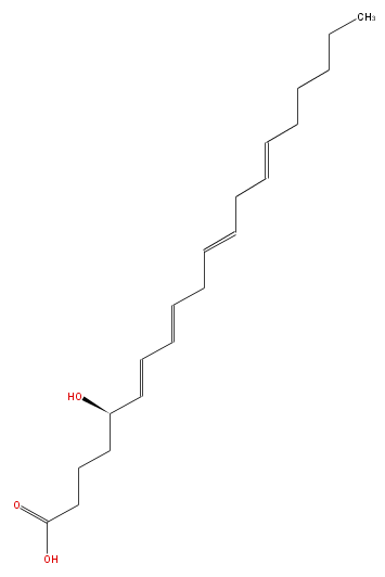 LBF20406HO10.png