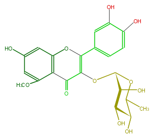 FL5FBCGS0001.png