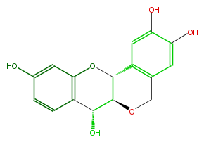 FL6DPTNS0001.png