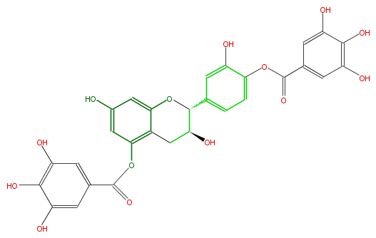 FL63ACNS0019.png
