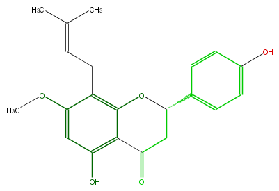 FL2FCANI0003.png
