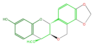 FL6DPTNS0006.png