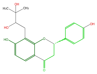 FL2F1ANI0009.png