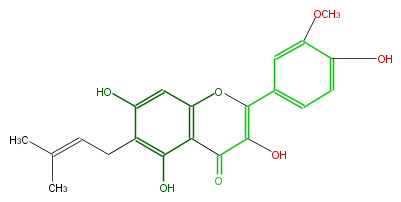 FL5FADNI0001.png