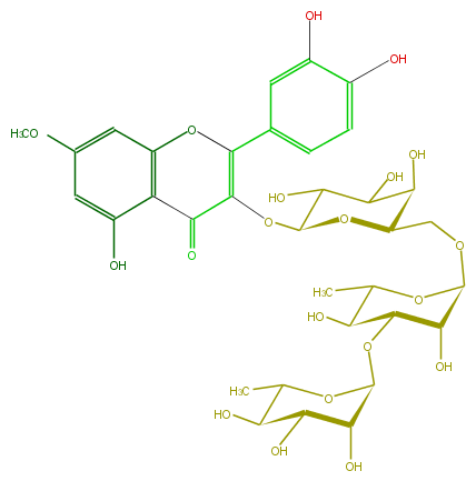 FL5FCCGS0007.png