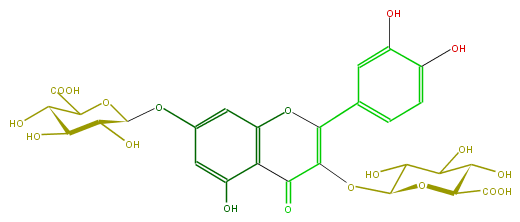 FL5FACGS0037.png