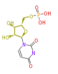 BMMCPYUR0016.png