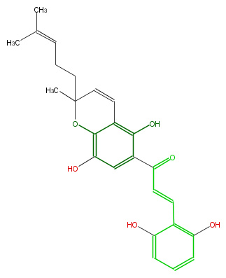 FL1C28NP0003.png
