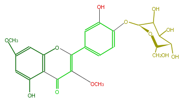 FL5FDCGS0012.png