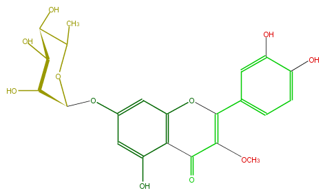 FL5FDCGS0004.png