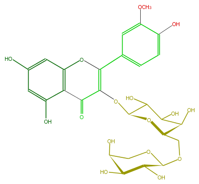 FL5FADGA0002.png