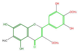 FL5FDJNM0001.png