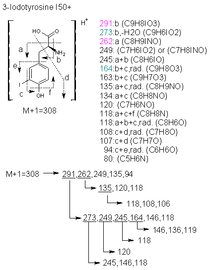 Fragmentation:KOX00385p.png