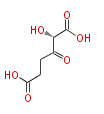 BMFYS6DAp002.png