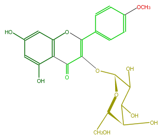FL5FABGA0001.png