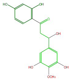 FL1DHYNS0001.png