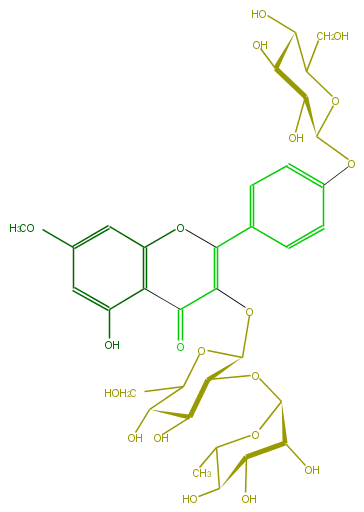 FL5FCAGS0011.png