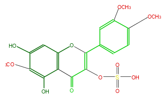 FL5FECNSS010.png