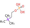 BMFYB2PHb001.png