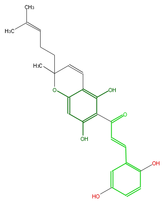FL1CA8NP0002.png