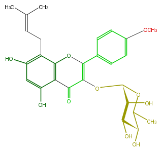 FL5FABGI0001.png