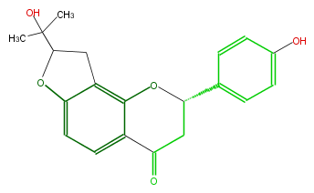 FL2F1ANF0001.png