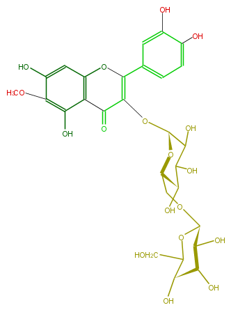 FL5FECGL0004.png