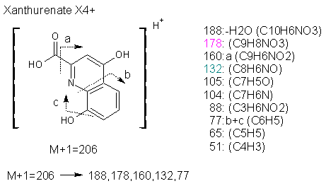 Fragmentation:KOX00628p.png