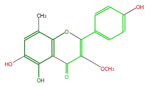 FL5F9CNM0001.png