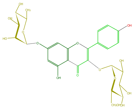 FL5FAAGL0016.png