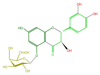 FL4DACGS0015.png