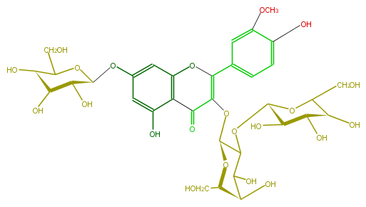 FL5FADGA0015.png