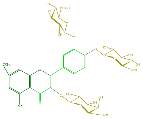 FL5FCCGA0007.png