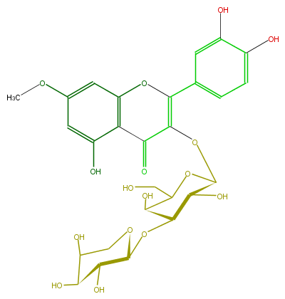 FL5FCCGS0008.png