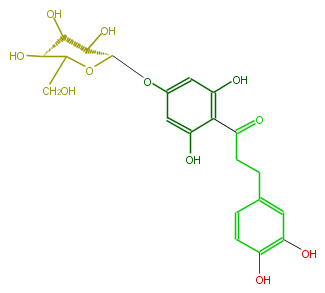 FL1DACGS0001.png
