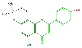 FL3FAANP0001.png