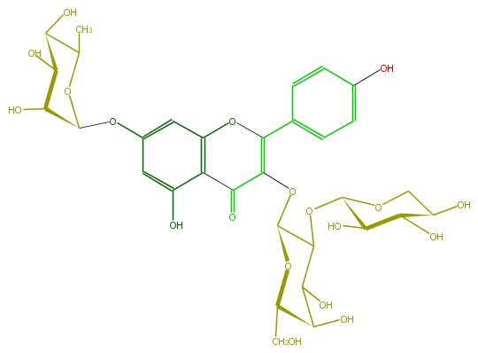 FL5FAAGA0019.png