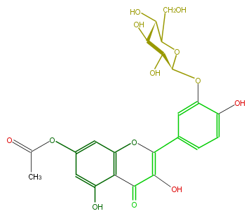 FL5FACGS0059.png