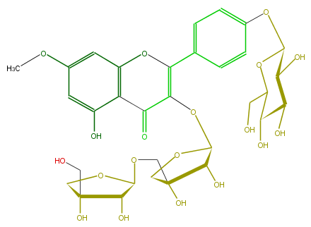 FL5FCAGS0010.png
