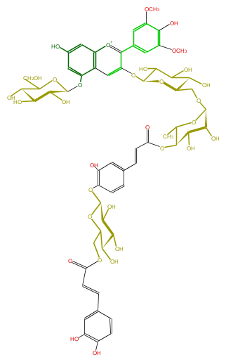 FL7AAIGL0026.png