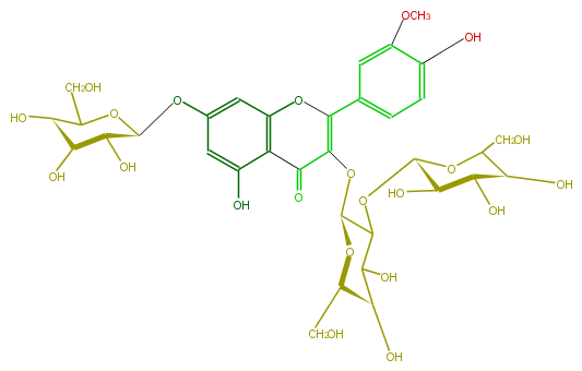 FL5FADGL0024.png