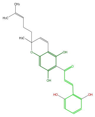 FL1CA8NP0003.png