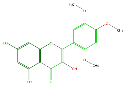 FL5FALNS0019.png